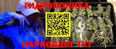 гидра Комсомольск-на-Амуре