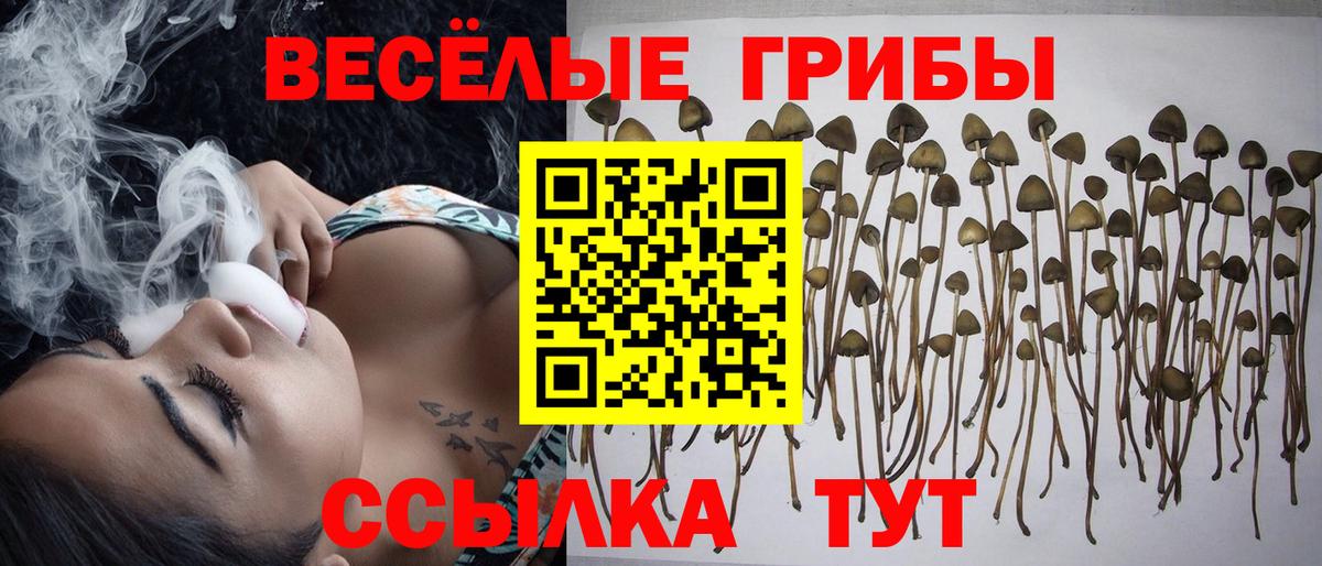 Галлюциногенные грибы мицелий Коряжма