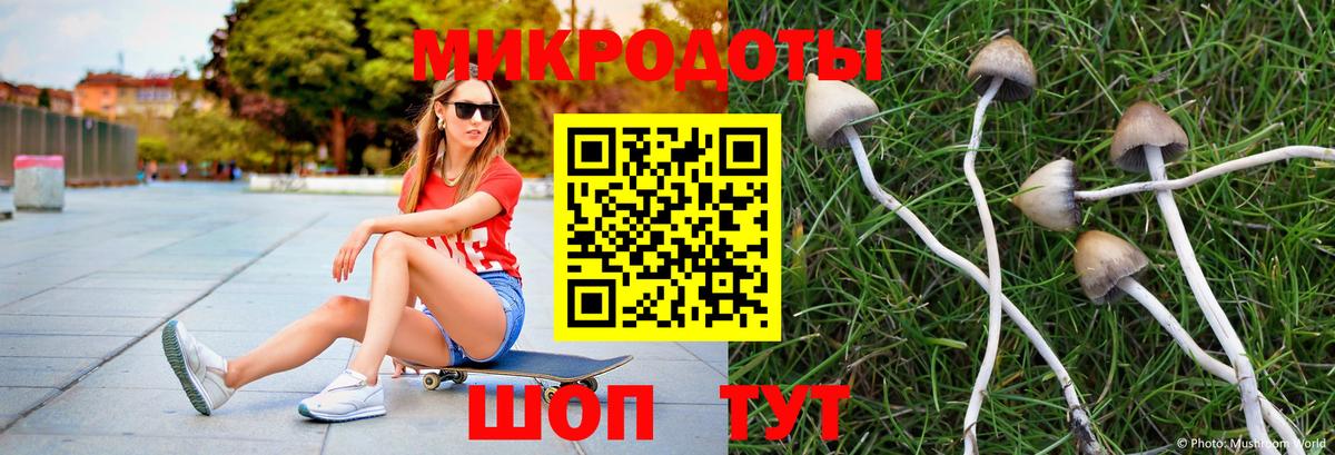 купить наркотики сайты  Вход с VPN  Коряжма  Псилоцибиновые грибы мицелий 
